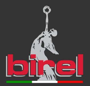 Birel karting